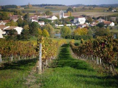 Maison De Village En Perigord *